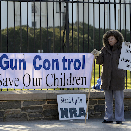 Supporters Of Gun Control Outside The White House